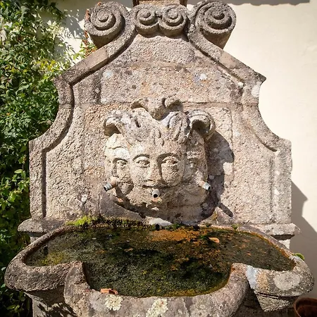 Quinta Do Convento Da Franqueira *